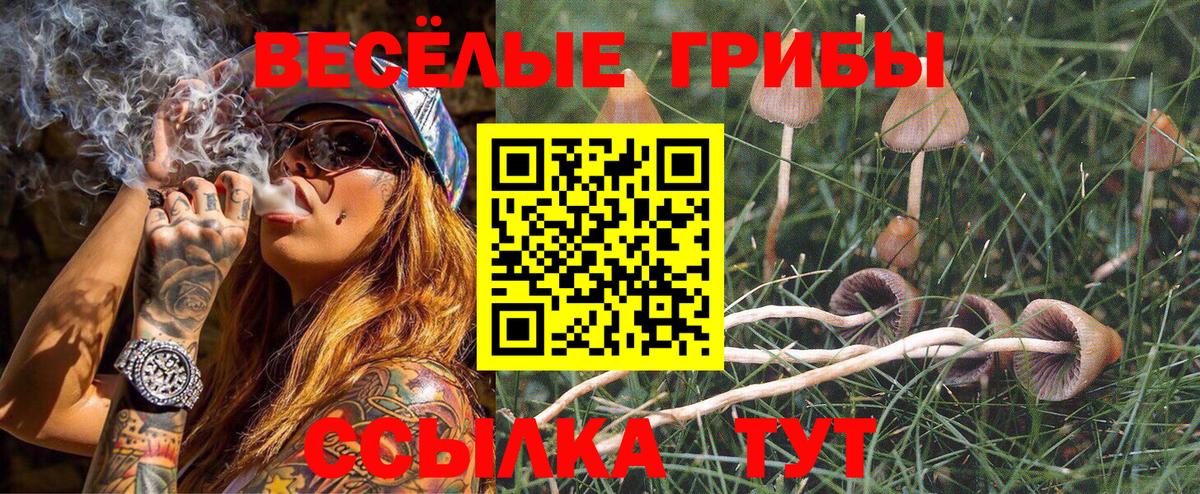 Псилоцибиновые грибы Psilocybe  Вход с VPN  Владивосток  Галлюциногенные грибы мухоморы 